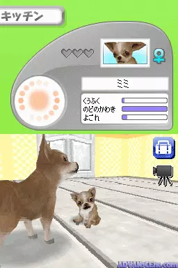 Image n° 3 - screenshots : Casual Series 2980 - Petz - Dogz - Koinu to Issho ni Tanoshiku Asobou
